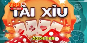 cách chơi xí ngầu