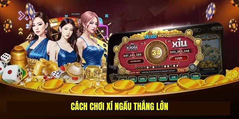 Cách Chơi Xí Ngầu - Top 3 Kinh Nghiệm Dự Đoán Thắng Lớn 3 Cách chơi xí ngầu thắng lớn